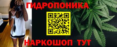 ПСИЛОЦИБИНОВЫЕ ГРИБЫ Пугачёв