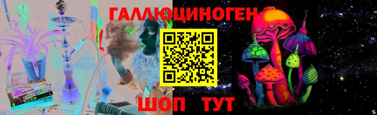Галлюциногенные грибы прущие грибы  Псилоцибиновые грибы Magic Shrooms  Северск  Вход с VPN 